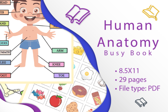 Human Anatomy Busy Book: A Fun Learning Tool for Curious Kids